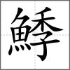 鯚