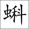 蝌