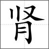 肾