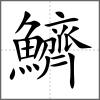 鱭