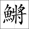 鱂