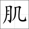 肌