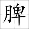 脾