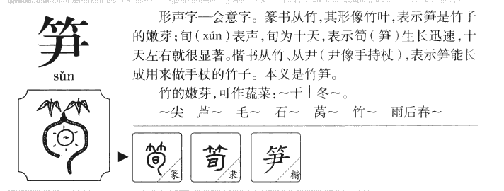 笋